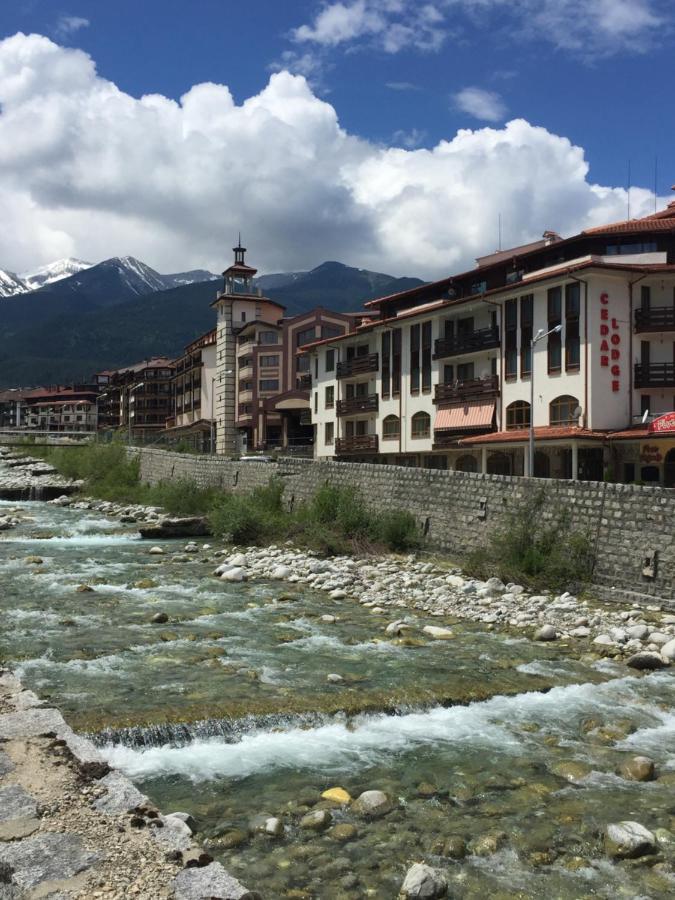 Cedar Lodge 3/4 Apartment Paradise Bansko Exterior photo